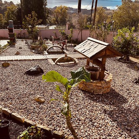 Mae Home Story Caldas Da Rainha Bagian luar foto