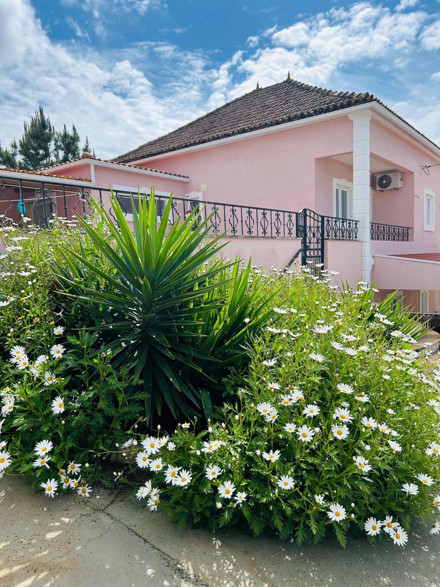 Mae Home Story Caldas Da Rainha Bagian luar foto